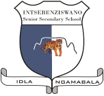 INTSEBENZISWANO 